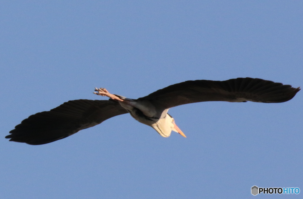 行ってらっしゃい