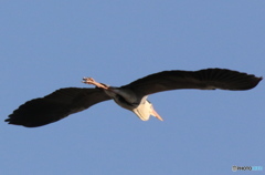 行ってらっしゃい