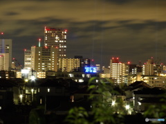 やれやれです〜