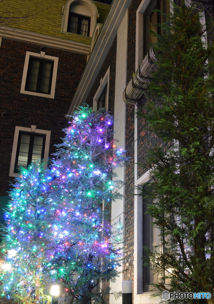 小さいサイズのツリー