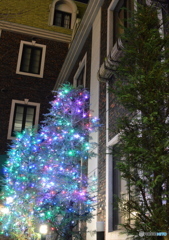 小さいサイズのツリー