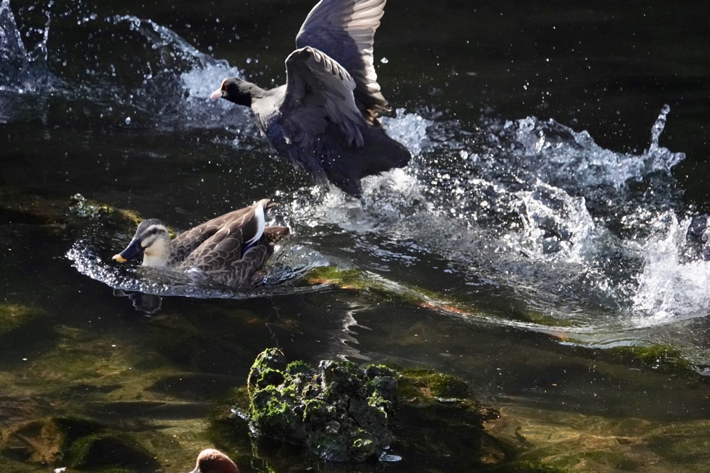 迷惑行為はやめましょう