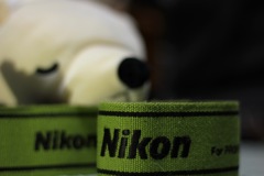 また買っちゃった６００円で