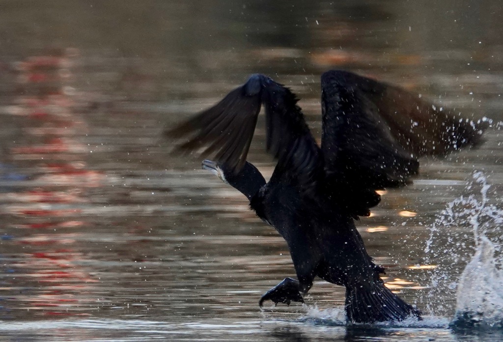 スタート１０秒前　２