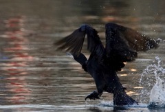 スタート１０秒前　２