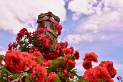 ここを抜けると２