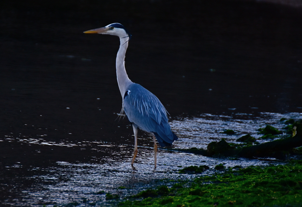 ラッキー７  ー2