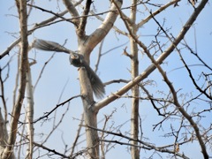 こっちに来るなぁ〜