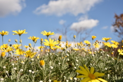 ぶんぶんぶん２