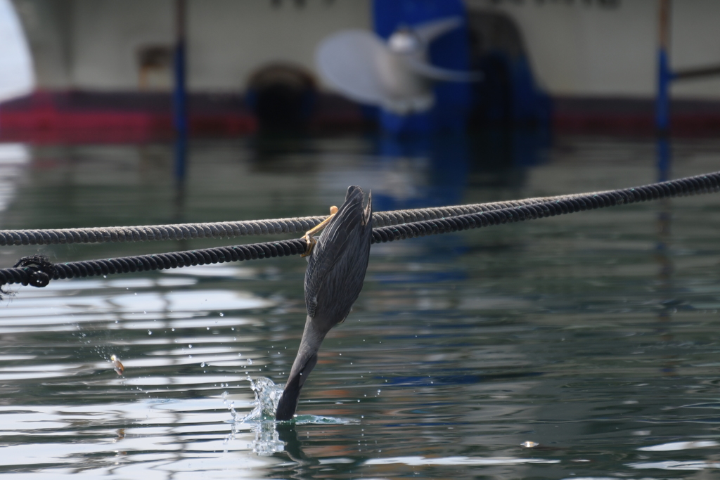 息を止めてぇ〜