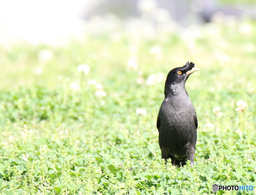 ここはどこ僕はだれ