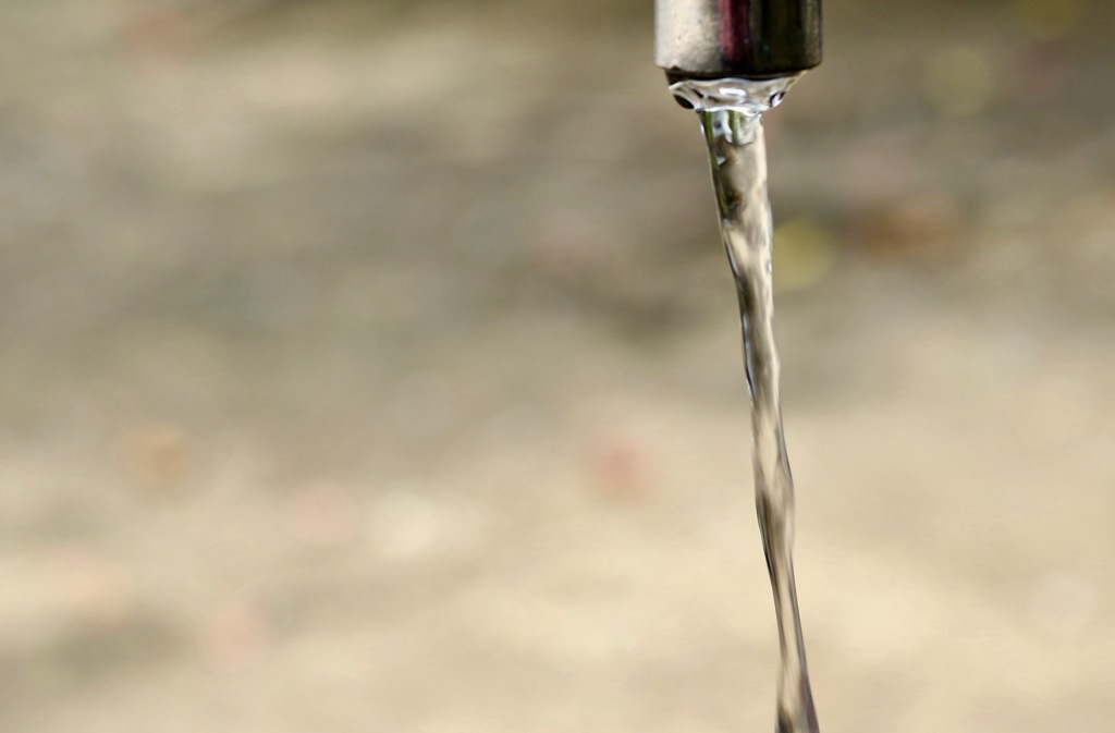 早く人間になりたぃ〜