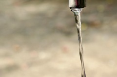 早く人間になりたぃ〜