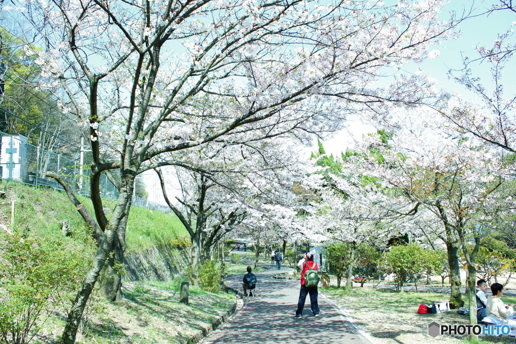 須磨浦公園