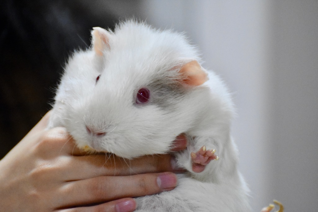 ユキと言います