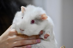 ユキと言います