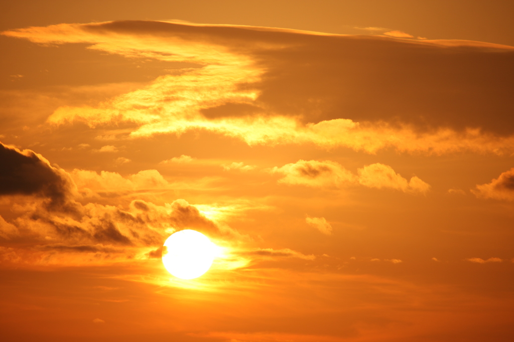 あさひを浴びて