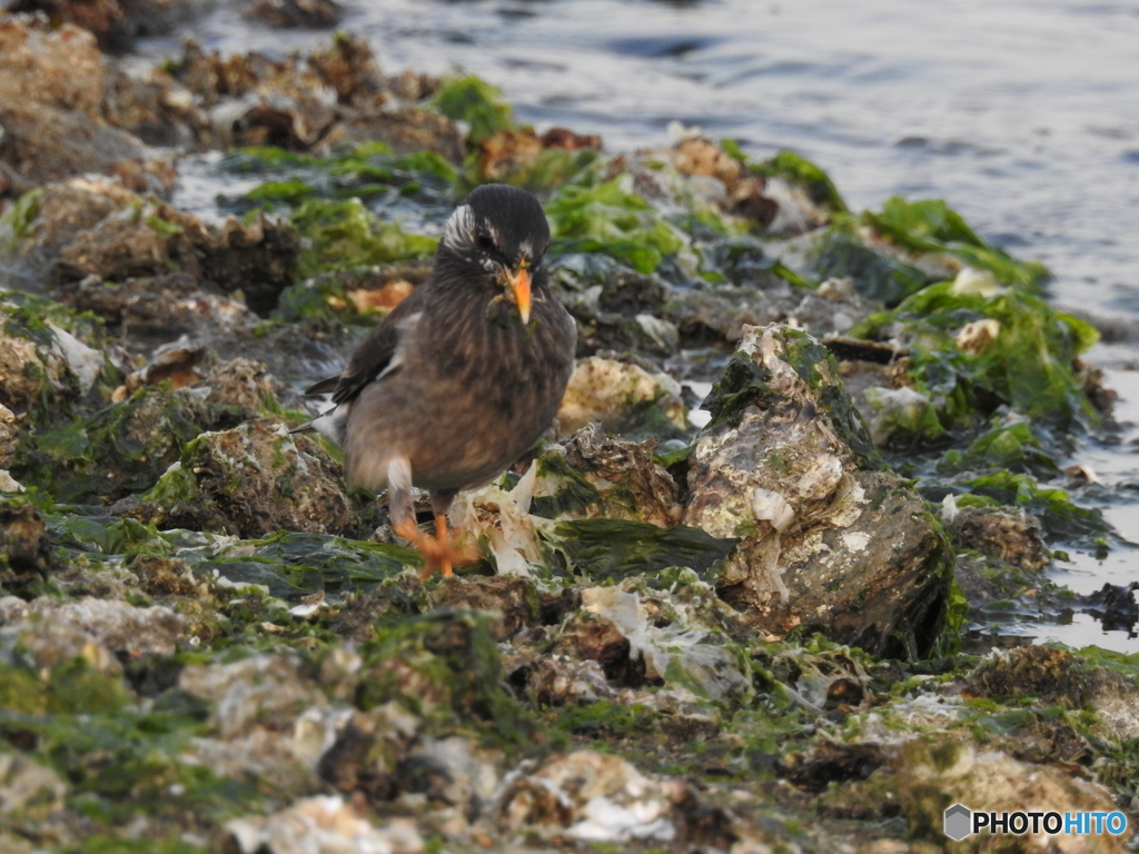 幸せは歩いてこないだから歩いてゆくんだよ