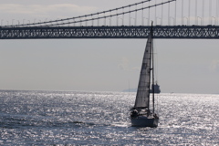 やっぱり船酔いしそう