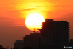 太陽にほえろ　ぱっぱっぱ〜