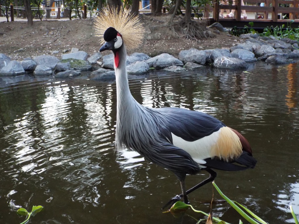 少し分けて欲しい金髪の毛