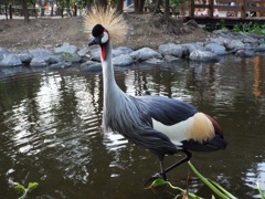 少し分けて欲しい金髪の毛