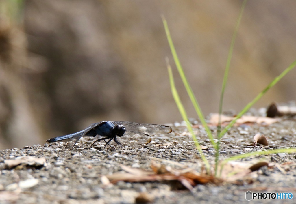 飛び立ち秒読み