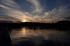 今日も頑張りました