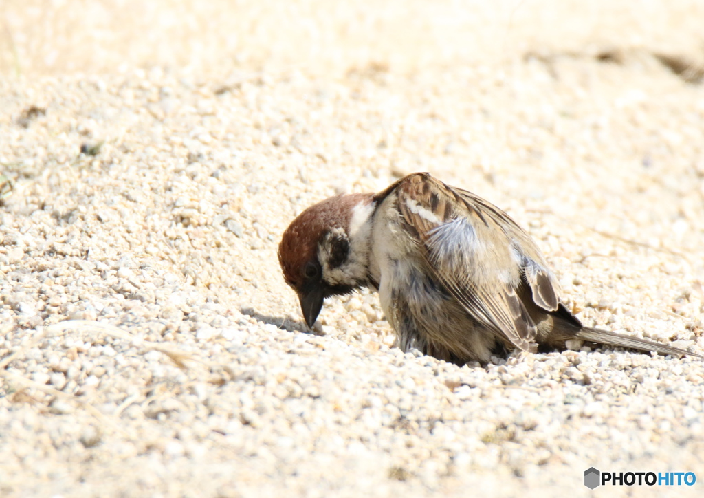 あぁ〜俺の人生どうなる