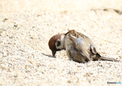 あぁ〜俺の人生どうなる