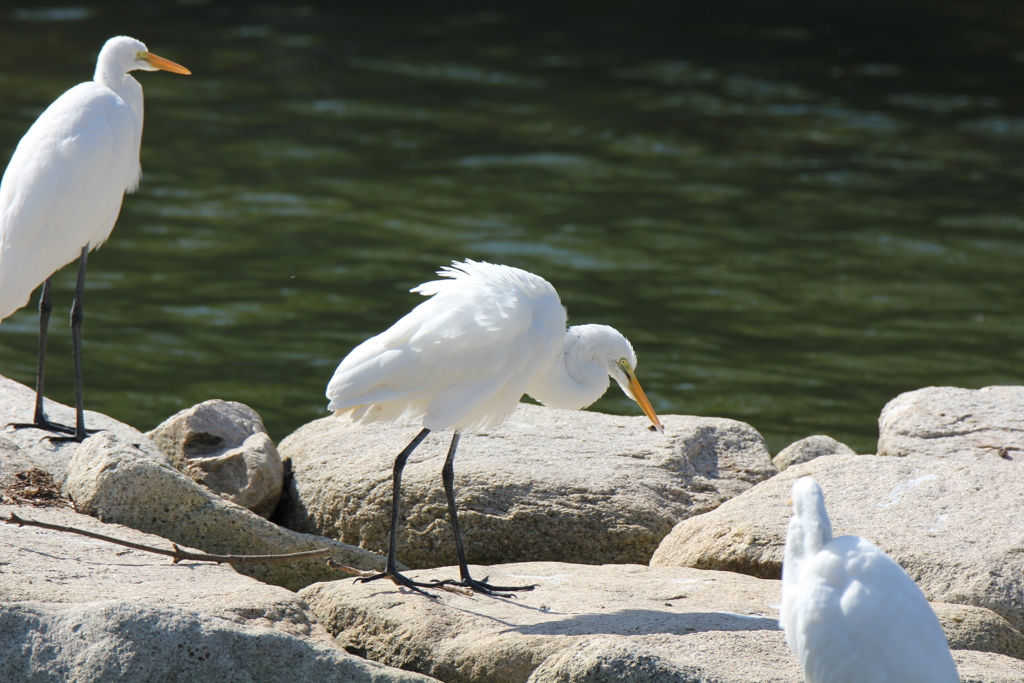 みんな元気　２