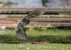 こっちを向いて