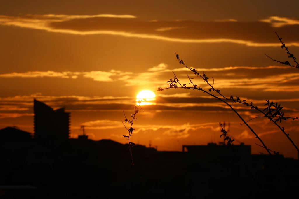 ２０１８年１月２日