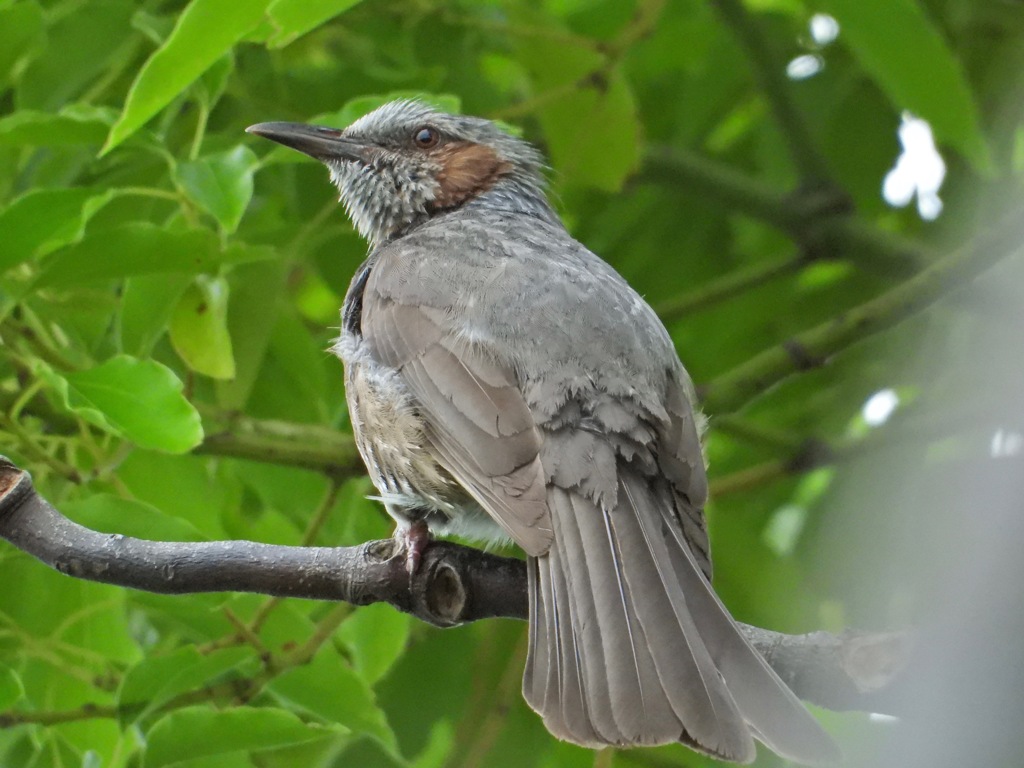 何か御用ですか