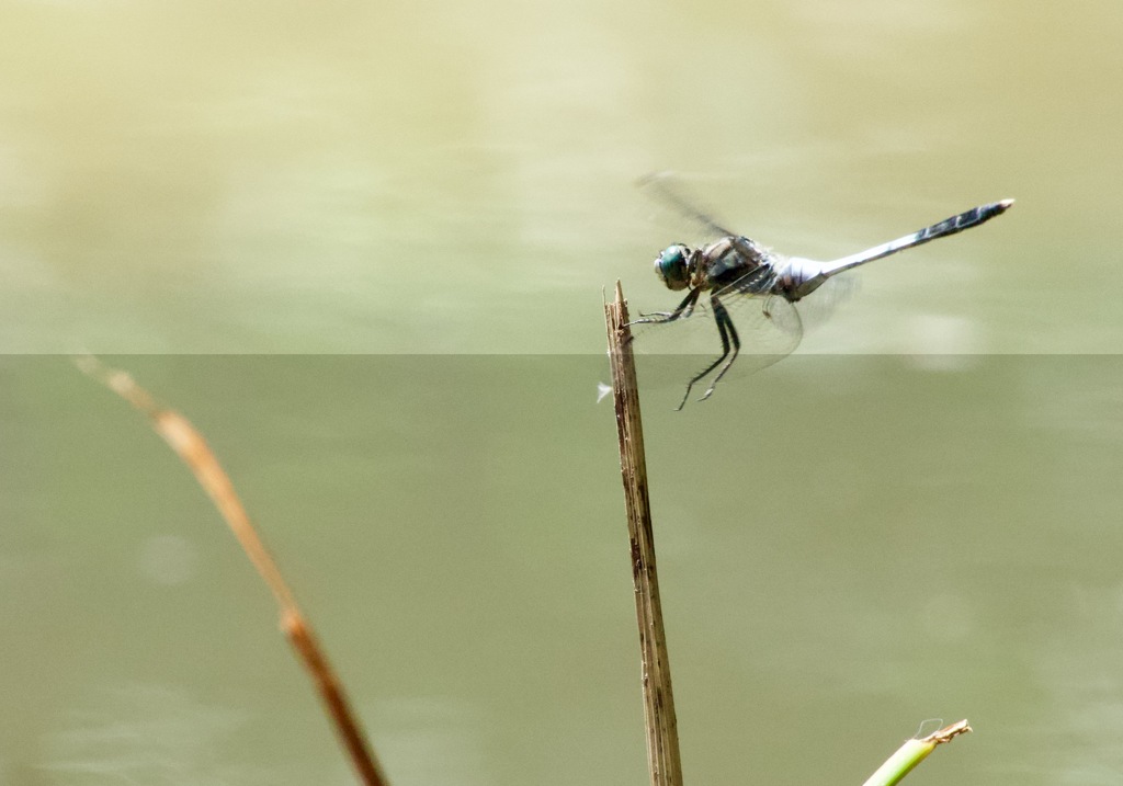 間もなく到着します