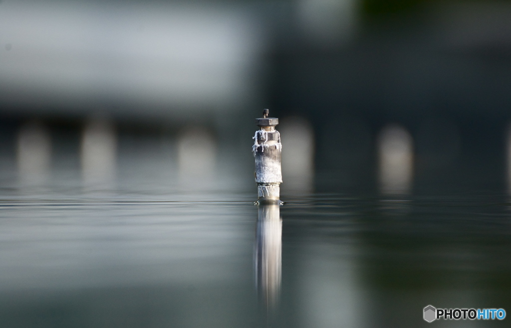 いつまで待てばよいのか