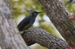 ２０１７年１２月３１日