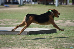 オリンピック２