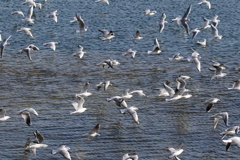 おおおおおおおお