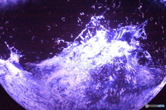 イルミネーション