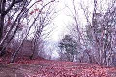 おぉ〜自然が一番