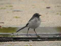 そのままそのまま