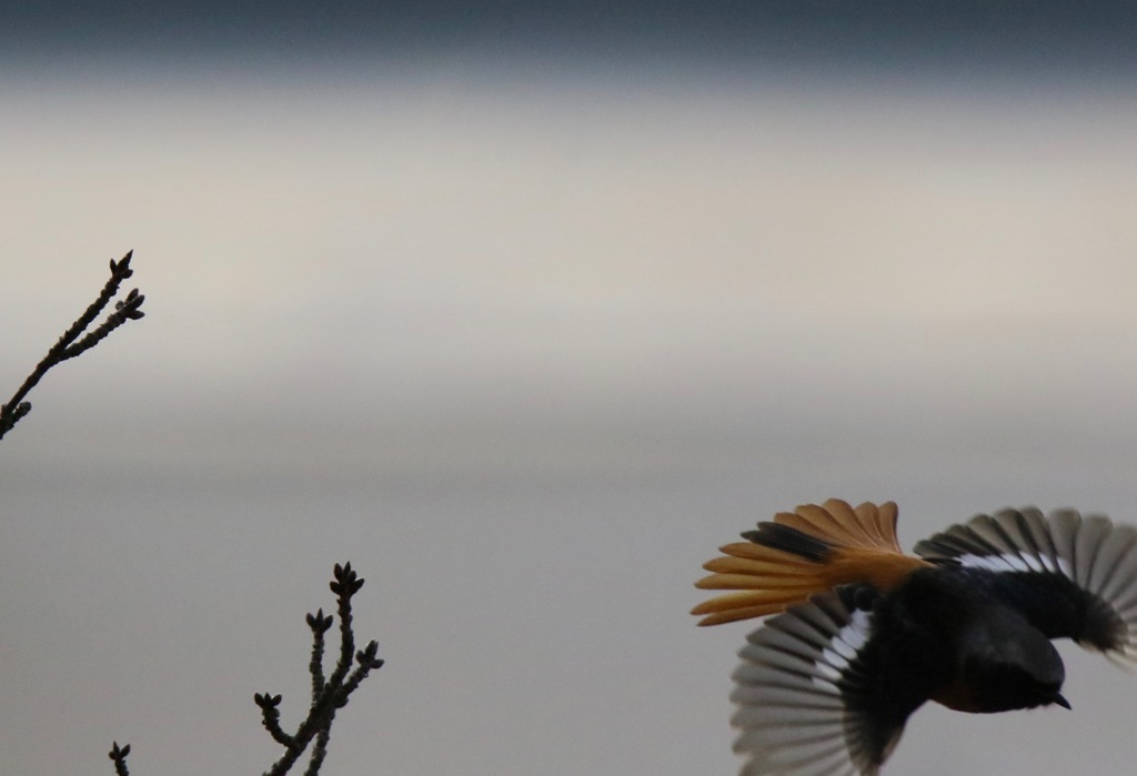 疲れてダウンしてます