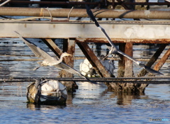 どこに行こうか