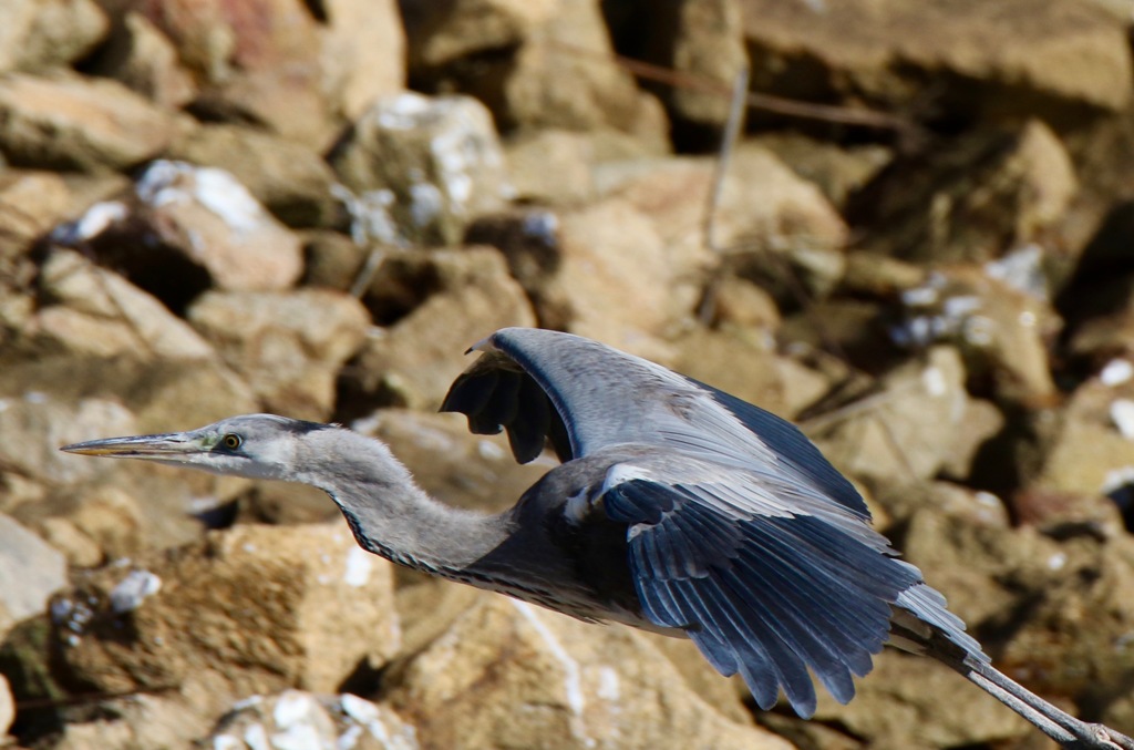 るんるんるん　２