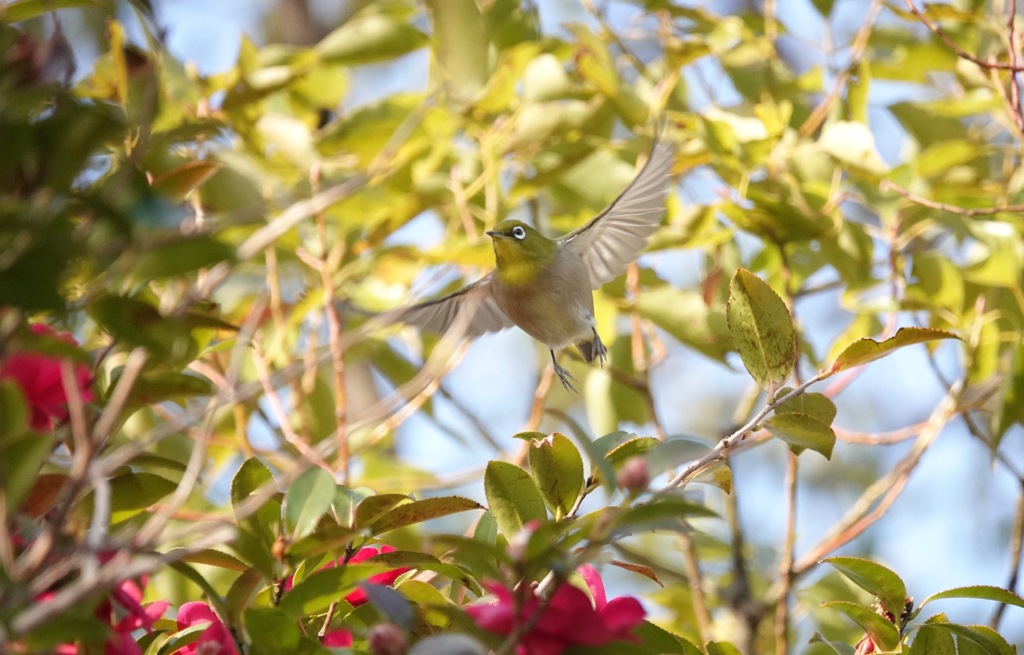 １２３で飛び立ってよ〜お願いだから　２