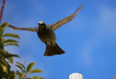 晴天気持ちがいいです