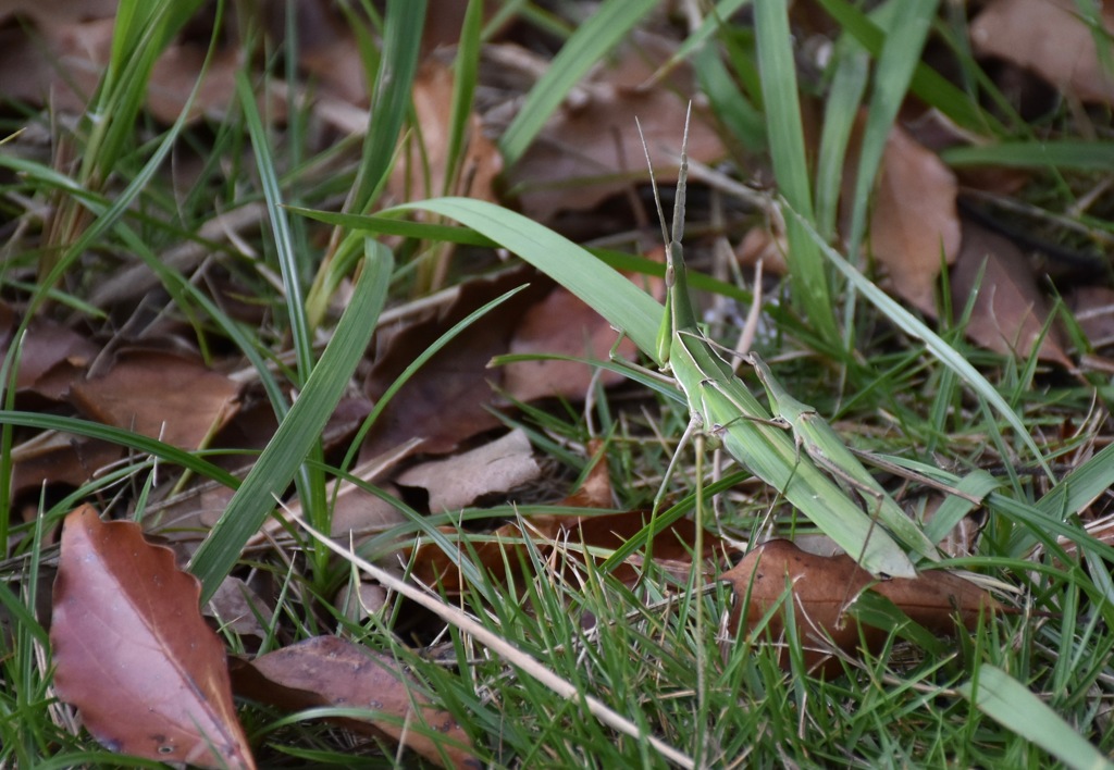 さぁ〜旅に出るぞ