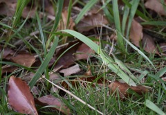 さぁ〜旅に出るぞ