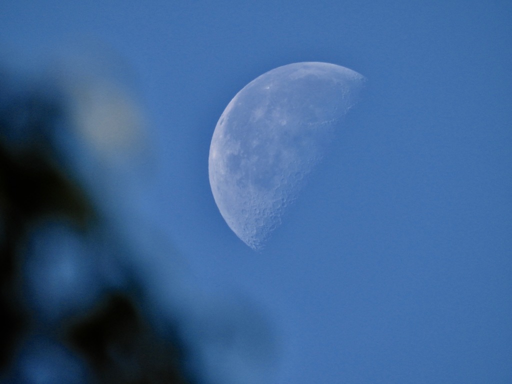 朝のお月さま